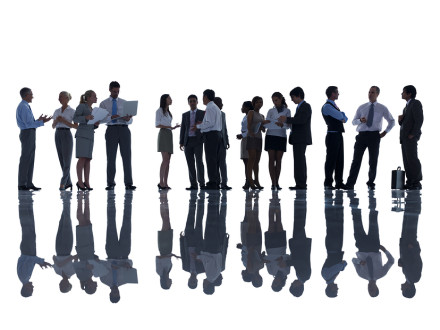 Business Team
